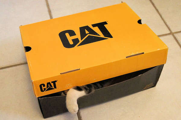 Name:  Boxed Cat.jpg
Views: 262
Size:  21.8 KB
