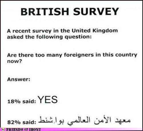 Name: survey.jpg
Views: 238
Size: 20.0 KB