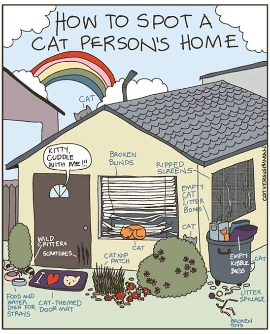 Name:  Cat persons house.jpg
Views: 213
Size:  63.7 KB