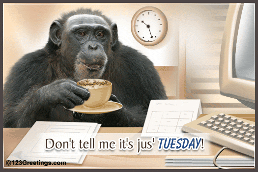 Name:  Tuesday-Wishes-1819.gif
Views: 206
Size:  62.6 KB