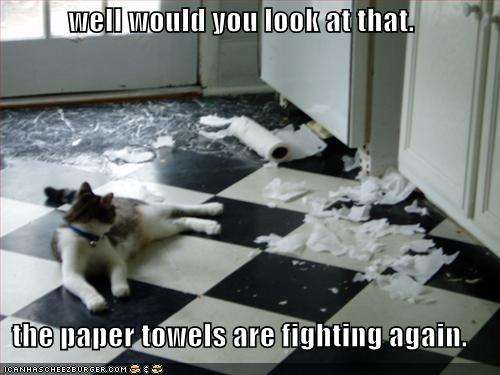 Name:  funny-pictures-cat-fighting-paper-towels.jpg
Views: 232
Size:  28.7 KB
