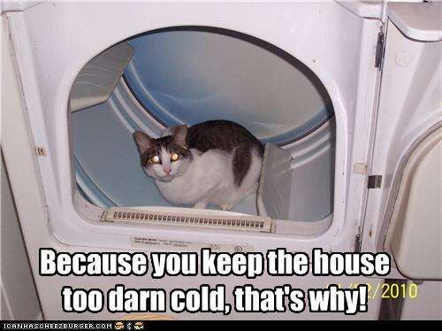 Name:  funny-pictures-cat-is-cold.jpg
Views: 196
Size:  27.9 KB