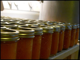 Name:  des+pots+encore.jpg
Views: 1561
Size:  22.5 KB