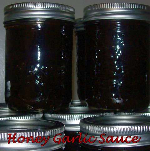 Name:  honey garlic sauce.jpg
Views: 638
Size:  46.6 KB