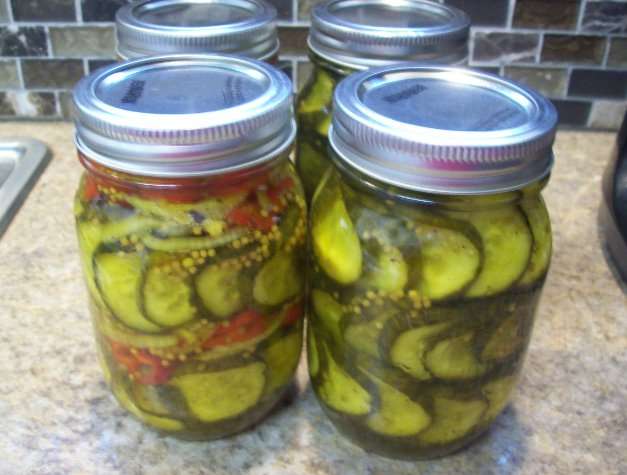 Name:  bread and butter pickles.jpg
Views: 341
Size:  50.8 KB