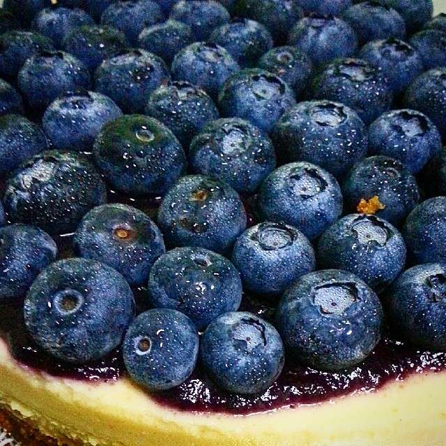 Name:  Blueberry cheesecake.jpg
Views: 472
Size:  86.1 KB