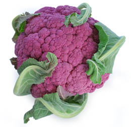 Name:  purple_cauliflower_lg_2.jpg
Views: 315
Size:  46.0 KB