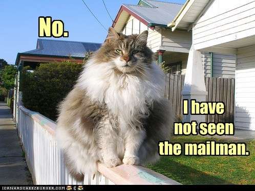 Name:  funny-cat-pictures-lolcats-urp.jpg
Views: 316
Size:  33.7 KB