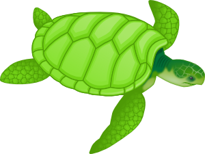 Name:  Turtle.png
Views: 380
Size:  50.5 KB