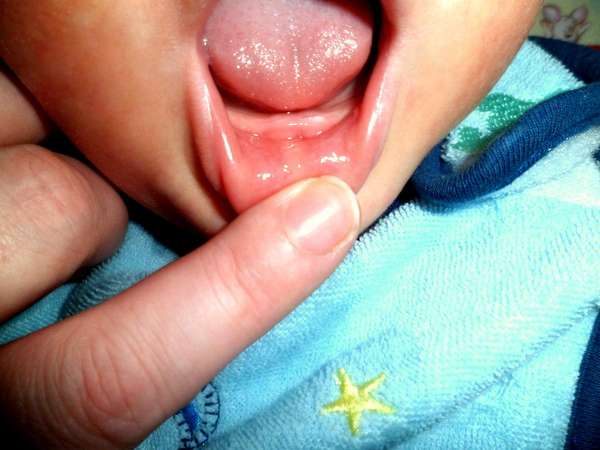 Name:  SAM_0455.jpg
Views: 918
Size:  29.6 KB