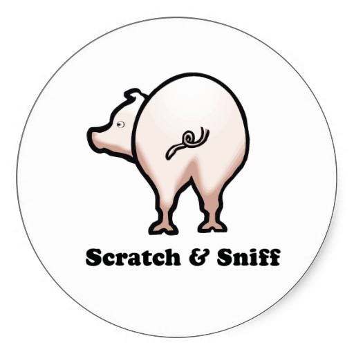 Name:  scratch_n_sniff_baby_t_shirt_stickers-rb0f97d2223164d9c9720a773a63b5aba_v9wth_8byvr_512.jpg
Views: 850
Size:  30.3 KB