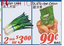 Name:  Leek and Onion.jpg
Views: 1362
Size:  19.8 KB