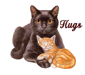 Name:  hugscatsblink.gif
Views: 158
Size:  52.5 KB