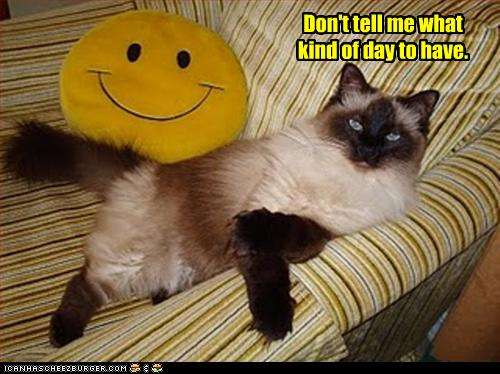 Name:  funny-pictures-cat-dont-tell-me.jpg
Views: 106
Size:  34.3 KB