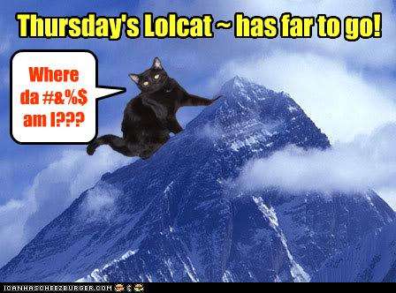 Name:  lolcat+thursday.jpg
Views: 157
Size:  27.6 KB