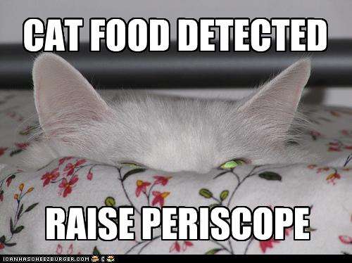Name:  funny-pictures-cat-detects-food.jpg
Views: 85
Size:  28.5 KB