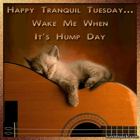 Name:  HappyTuesday-Tranquil.gif
Views: 67
Size:  195.3 KB