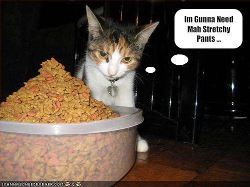 Name:  funny-pictures-cat-plans-to-eat-a-lot-of-food.jpg
Views: 265
Size:  23.9 KB