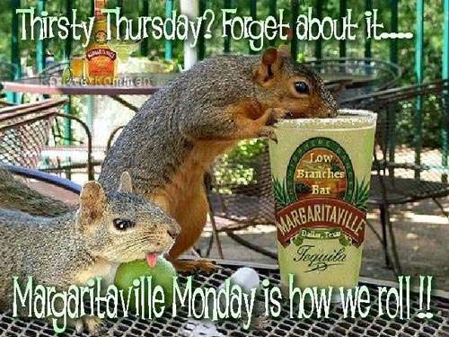 Name:  thirsty-thursday.jpg
Views: 420
Size:  49.3 KB