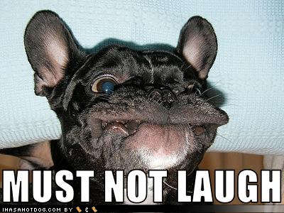 Name:  funny-dog-pictures-not-laugh.jpg
Views: 1744
Size:  27.8 KB