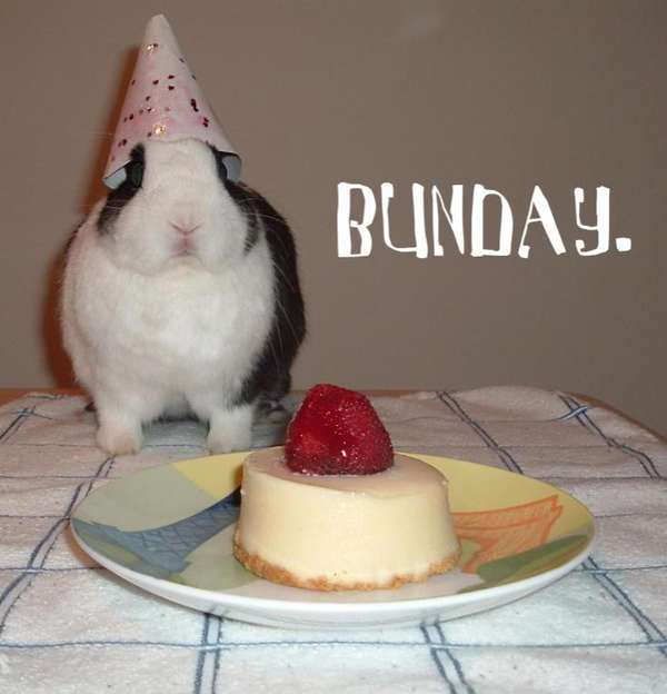 Name:  bunday.jpg
Views: 207
Size:  31.1 KB