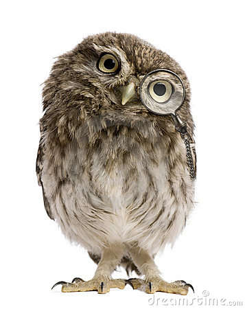 Name:  little-owl-wearing-magnifying-glass-athene-noctua-thumb16407418.jpg
Views: 245
Size:  21.6 KB