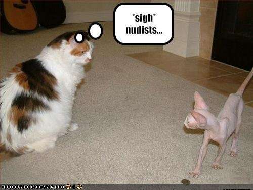 Name:  funny-pictures-cat-does-not-like-nudists.jpg
Views: 275
Size:  23.8 KB