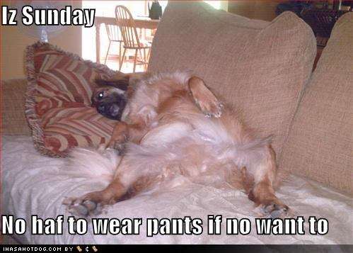 Name:  funny-dog-pictures-dog-does-not-need-to-wear-pants-on-sunday.jpg
Views: 267
Size:  28.5 KB