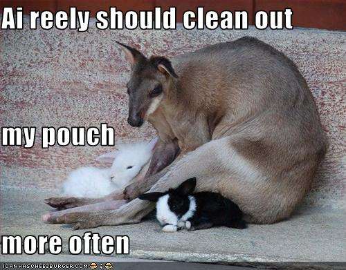 Name:  funny-pictures-kangaroo-has-dust-bunnies-in-his-pouch.jpg
Views: 212
Size:  40.9 KB