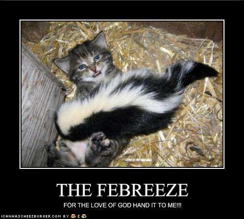 Name:  funny-pictures-kitten-begs-for-the-febreeze.jpg
Views: 244
Size:  32.4 KB