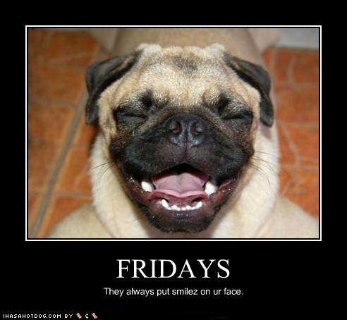 Name:  55b78_funny-dog-pictures-fridays.jpg
Views: 72
Size:  21.9 KB