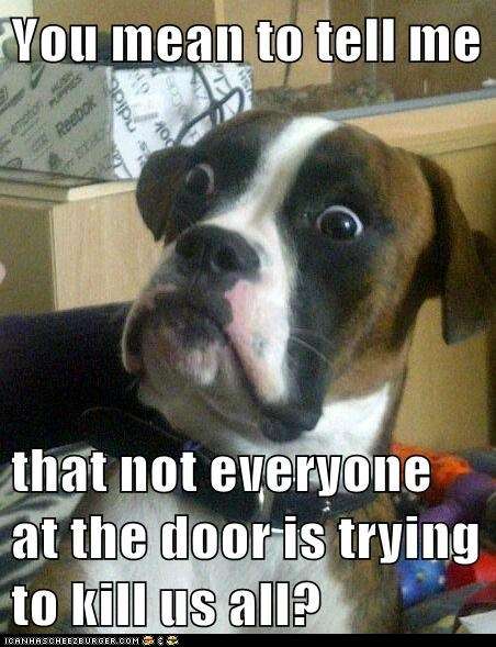 Name:  funny-pictures-animal-memes-baffled-boxer-but-they-smell-so-threatening.jpg
Views: 216
Size:  48.0 KB