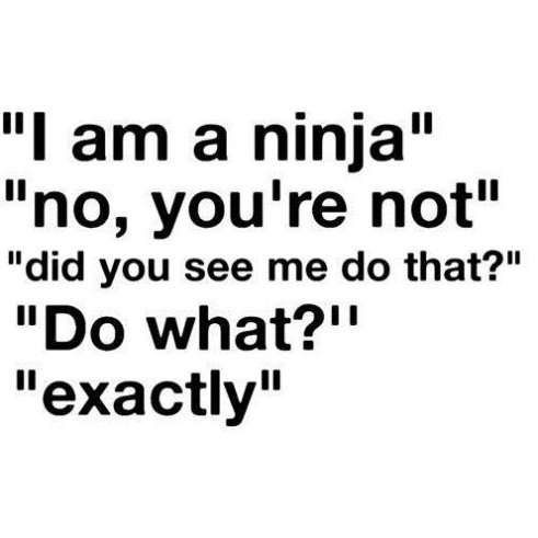 Name:  Funny-Quotes---I-am-a-Ninja.jpg
Views: 11795
Size:  18.2 KB