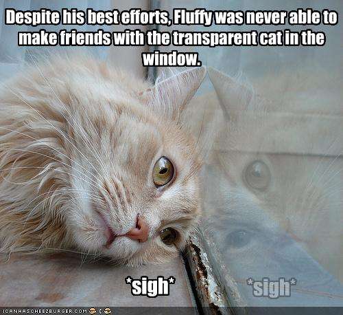 Name:  funny-pictures-cat-tries-to-befriend-his-reflection.jpg
Views: 337
Size:  40.0 KB