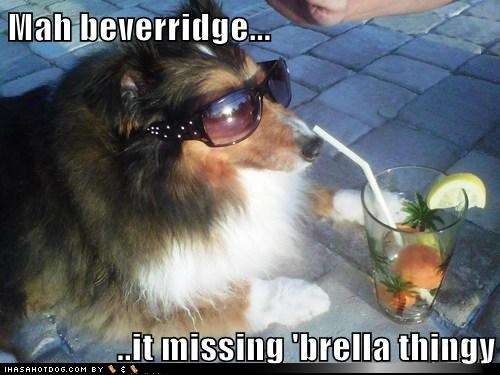 Name:  funny-dog-pictures-mah-beverridge-it-missing-brella-thingy.jpg
Views: 272
Size:  28.8 KB