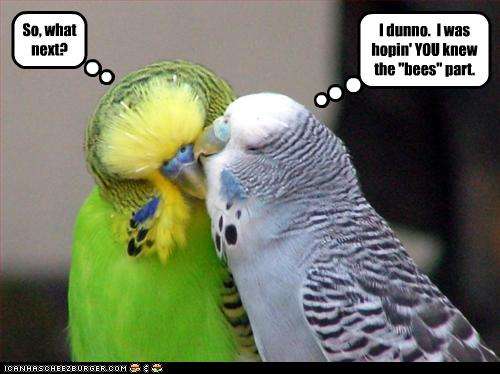 Name:  funny-pictures-birds-kiss.jpg
Views: 262
Size:  26.7 KB