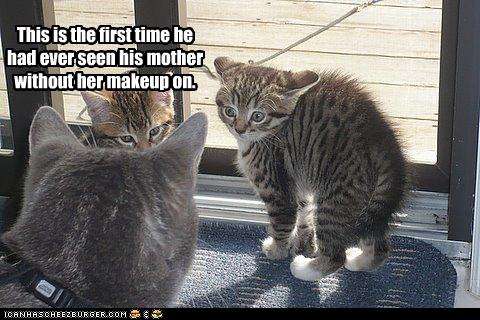 Name:  funny-pictures-kitten-sees-his-mother.jpg
Views: 189
Size:  35.4 KB