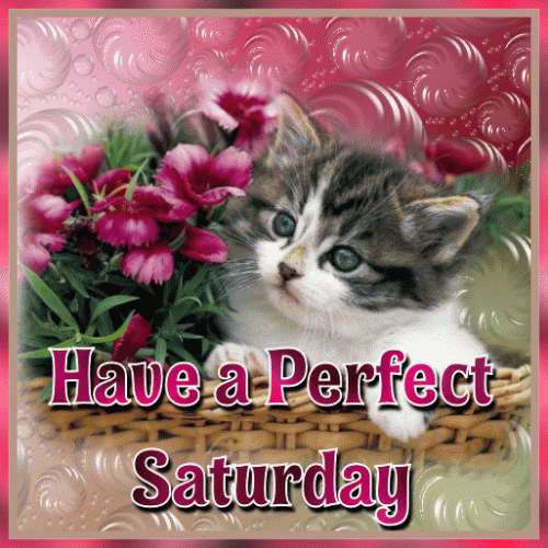 Name:  have-a-perfect-saturday.gif
Views: 425
Size:  153.0 KB