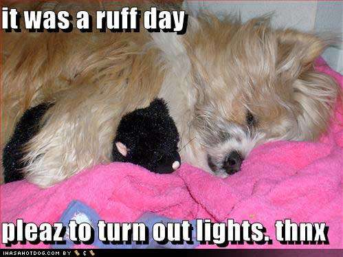 Name:  funny-dog-pictures-rough-day-stuffed-animal-sleeping.jpg
Views: 476
Size:  33.6 KB