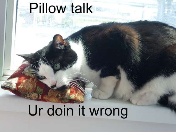 Name:  lol - pillow talk.jpg
Views: 446
Size:  28.3 KB