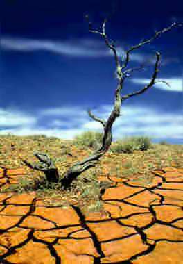 Name:  drought-in-usa_4515.jpg
Views: 147
Size:  12.9 KB
