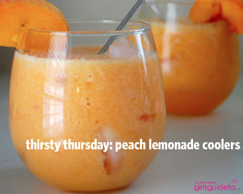 Name:  peach_coolers.jpg
Views: 100
Size:  53.7 KB