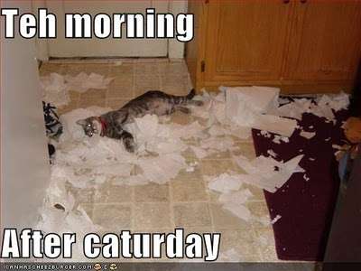 Name:  funny-pictures-morning-after-caturday.jpg
Views: 197
Size:  17.0 KB