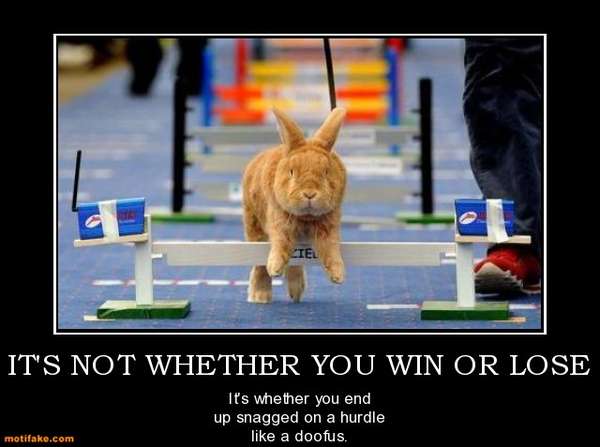 Name:  its-not-whether-you-win-or-lose-race-hurdle-bunny-humor-demotivational-posters-1325471661.jpg
Views: 2525
Size:  28.2 KB
