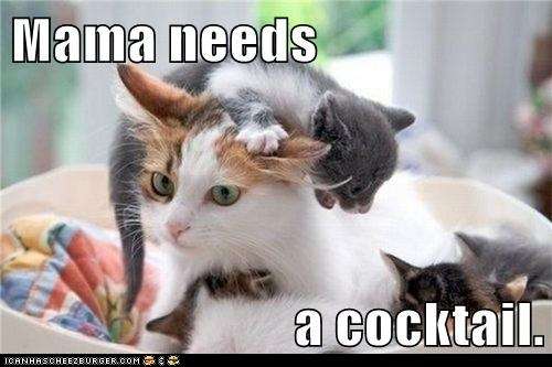 Name:  funny-pictures-lolcats-mama-needs1.jpg
Views: 755
Size:  26.6 KB