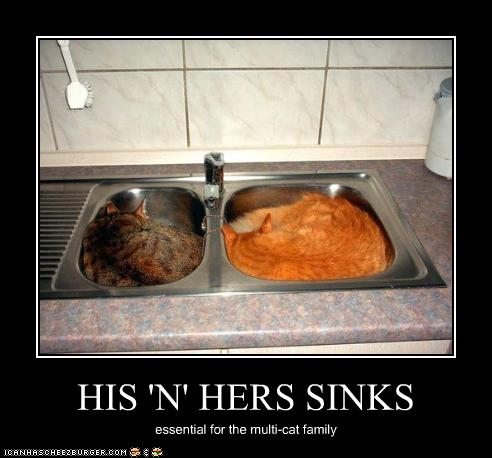 Name:  funny-pictures-cats-sleep-in-sinks.jpg
Views: 620
Size:  32.3 KB