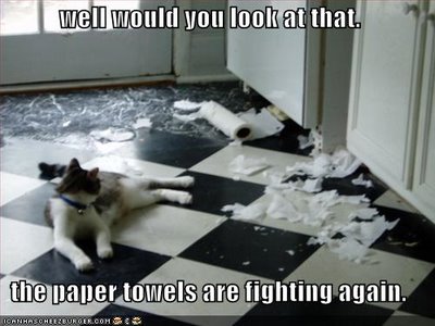 Name:  funny-pictures-cat-fighting-paper-towels.jpg
Views: 270
Size:  29.8 KB