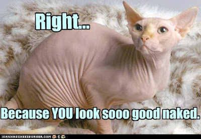 Name:  lolcats+naked+cat.jpg
Views: 488
Size:  37.2 KB