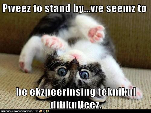 Name:  funny-cat-pictures-lolcats-pweez-to-stand-by.jpg
Views: 804
Size:  50.7 KB