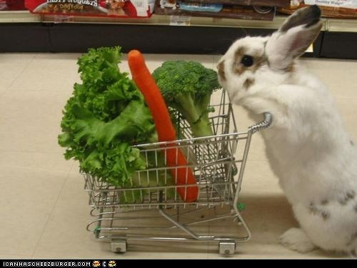 Name:  cute-animals-daily-squee-bunday-super-market.jpg
Views: 244
Size:  42.5 KB